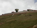  width=120