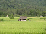 Laos