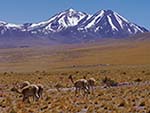 Chile
