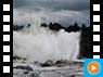 Te Puia Geysir