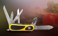 Victorinox